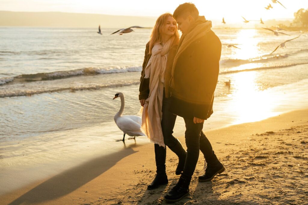 The image shows a couple walking along the beach at sunset, smiling and bundled up in coats and scarves. They are enjoying a peaceful moment as a swan walks alongside them, and seagulls fly overhead. The warm glow of the setting sun reflects off the water, creating a serene and romantic atmosphere.